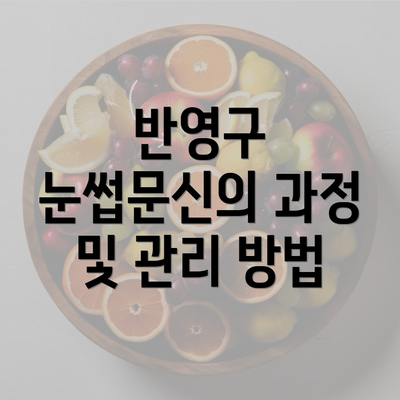 반영구 눈썹문신의 과정 및 관리 방법