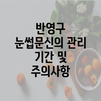 반영구 눈썹문신의 관리 기간 및 주의사항