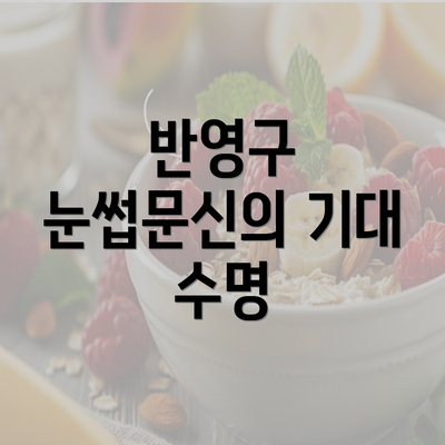 반영구 눈썹문신의 기대 수명