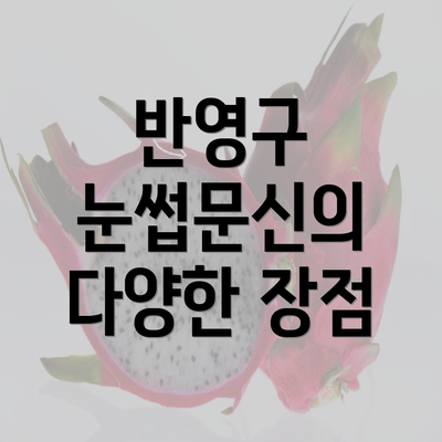 반영구 눈썹문신의 다양한 장점