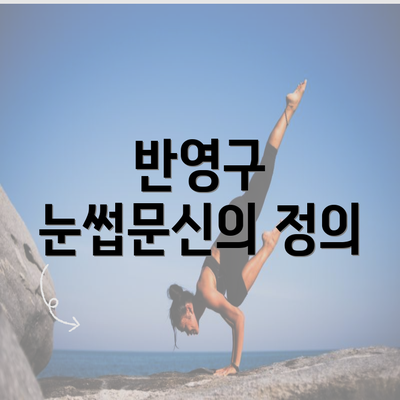 반영구 눈썹문신의 정의