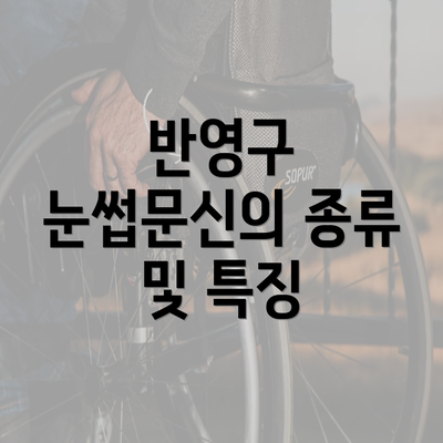 반영구 눈썹문신의 종류 및 특징