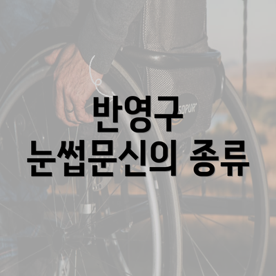 반영구 눈썹문신의 종류