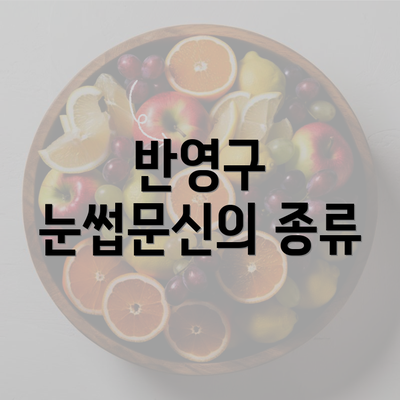 반영구 눈썹문신의 종류