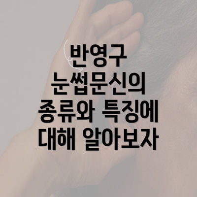 반영구 눈썹문신의 종류와 특징에 대해 알아보자