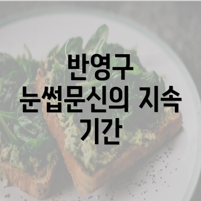 반영구 눈썹문신의 지속 기간