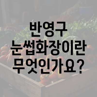 반영구 눈썹화장이란 무엇인가요?