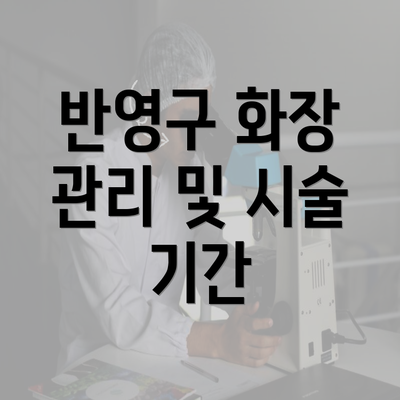 반영구 화장 관리 및 시술 기간