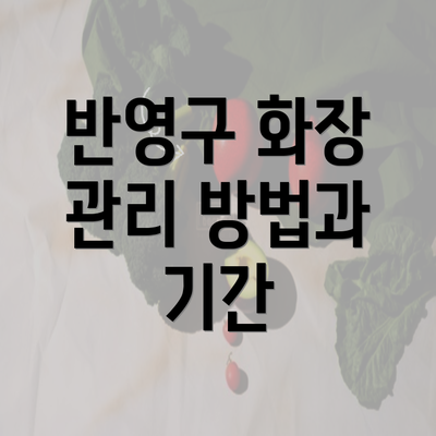 반영구 화장 관리 방법과 기간