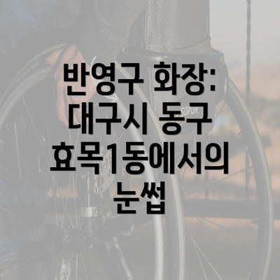 반영구 화장: 대구시 동구 효목1동에서의 눈썹