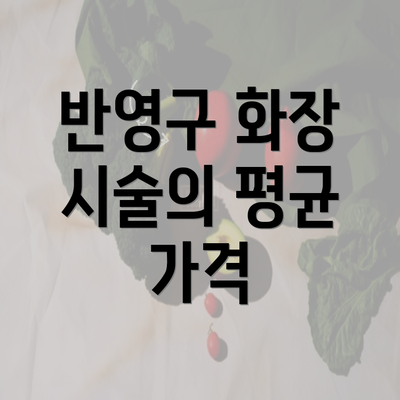 반영구 화장 시술의 평균 가격