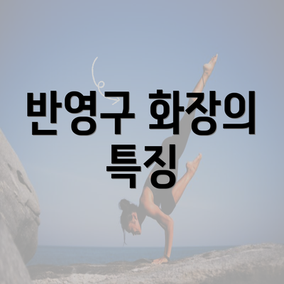 반영구 화장의 특징