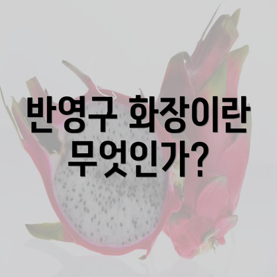 반영구 화장이란 무엇인가?