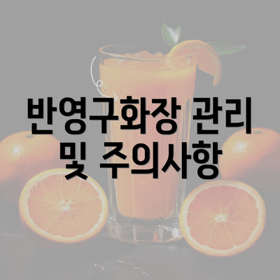 반영구화장 관리 및 주의사항