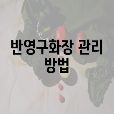 반영구화장 관리 방법