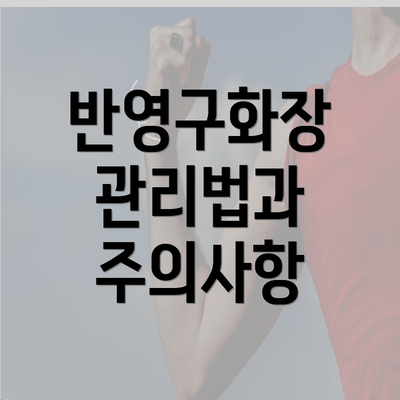 반영구화장 관리법과 주의사항