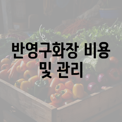 반영구화장 비용 및 관리