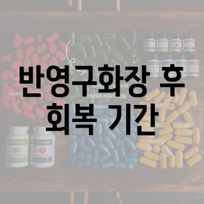 반영구화장 후 회복 기간