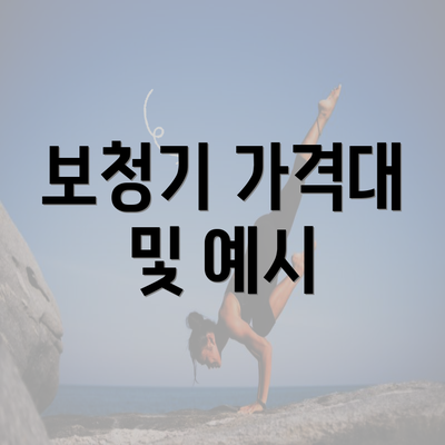 보청기 가격대 및 예시