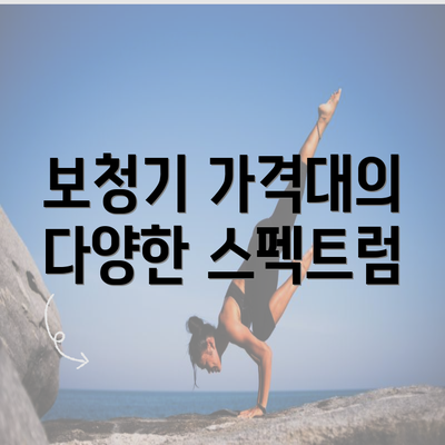 보청기 가격대의 다양한 스펙트럼