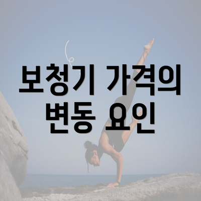 보청기 가격의 변동 요인