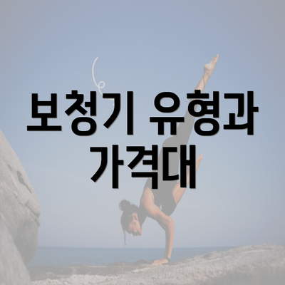 보청기 유형과 가격대