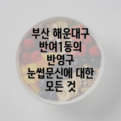 부산 해운대구 반여1동의 반영구 눈썹문신에 대한 모든 것