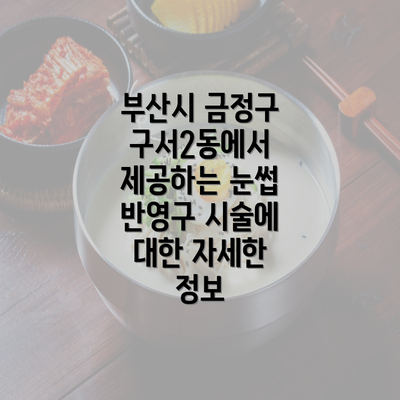 부산시 금정구 구서2동에서 제공하는 눈썹 반영구 시술에 대한 자세한 정보