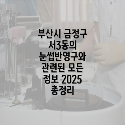 부산시 금정구 서3동의 눈썹반영구와 관련된 모든 정보 2025 총정리