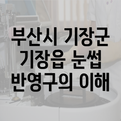 부산시 기장군 기장읍 눈썹 반영구의 이해