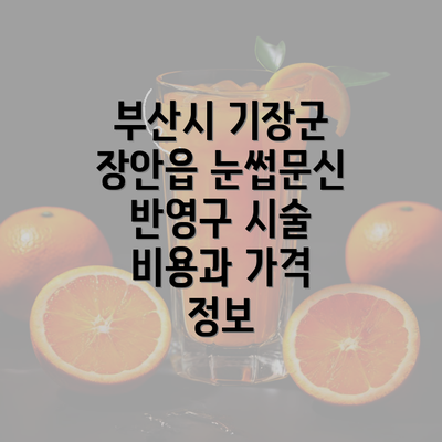 부산시 기장군 장안읍 눈썹문신 반영구 시술 비용과 가격 정보