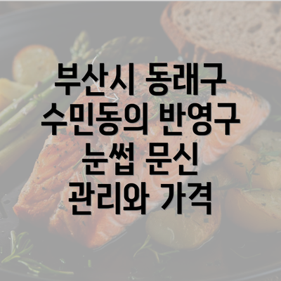 부산시 동래구 수민동의 반영구 눈썹 문신 관리와 가격