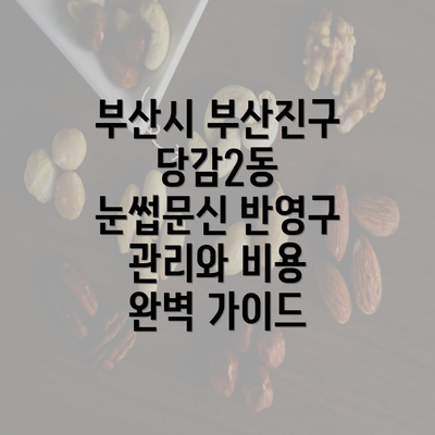 부산시 부산진구 당감2동 눈썹문신 반영구 관리와 비용 완벽 가이드