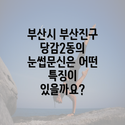 부산시 부산진구 당감2동의 눈썹문신은 어떤 특징이 있을까요?