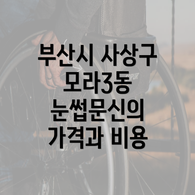 부산시 사상구 모라3동 눈썹문신의 가격과 비용