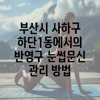 부산시 사하구 하단1동에서의 반영구 눈썹문신 관리 방법