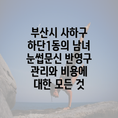 부산시 사하구 하단1동의 남녀 눈썹문신 반영구 관리와 비용에 대한 모든 것