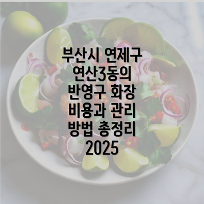 부산시 연제구 연산3동의 반영구 화장 비용과 관리 방법 총정리 2025