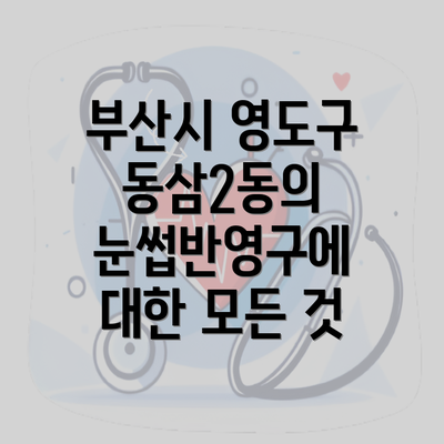 부산시 영도구 동삼2동의 눈썹반영구에 대한 모든 것