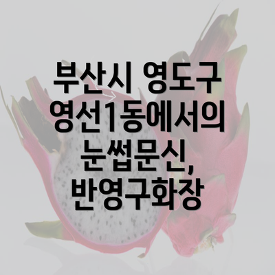 부산시 영도구 영선1동에서의 눈썹문신, 반영구화장