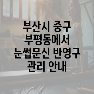 부산시 중구 부평동에서 눈썹문신 반영구 관리 안내