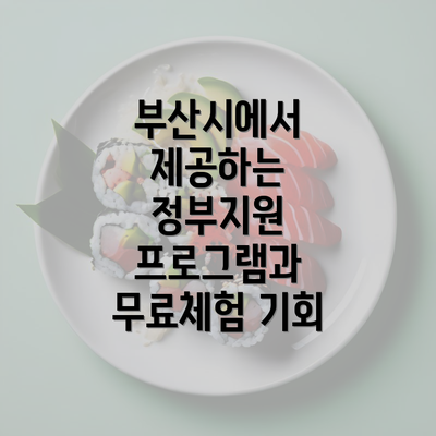 부산시에서 제공하는 정부지원 프로그램과 무료체험 기회