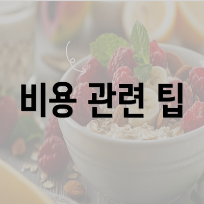 비용 관련 팁