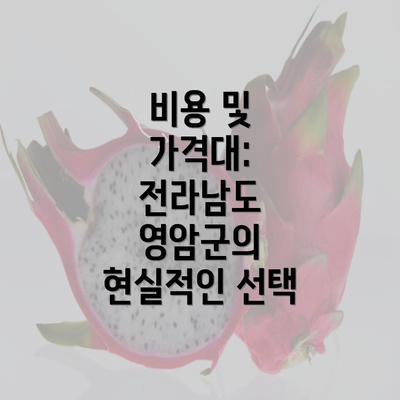 비용 및 가격대: 전라남도 영암군의 현실적인 선택