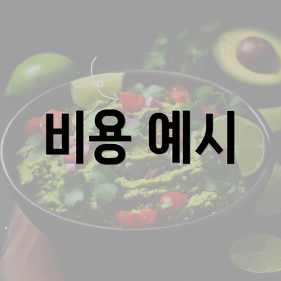 비용 예시