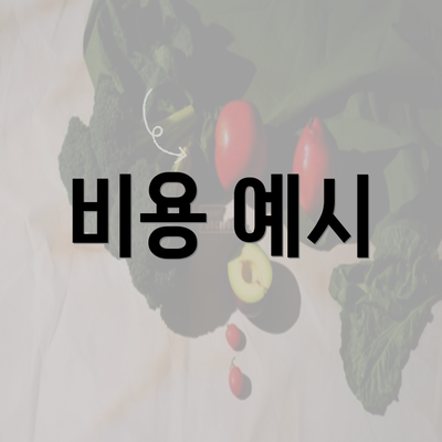 비용 예시