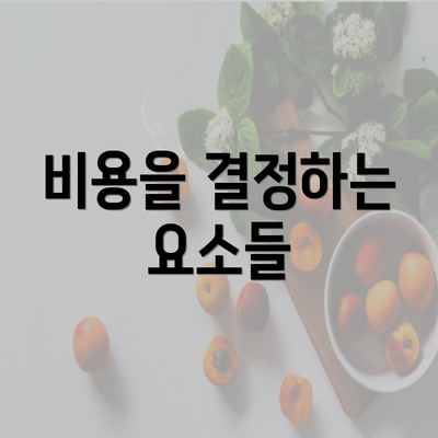 비용을 결정하는 요소들