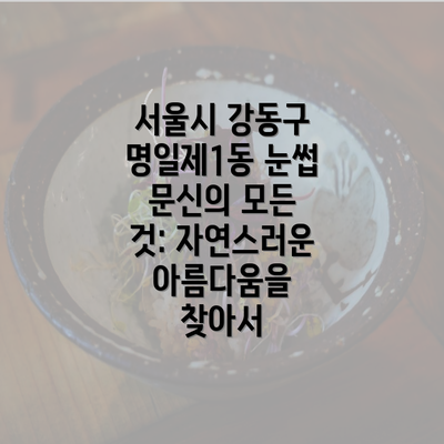 서울시 강동구 명일제1동 눈썹 문신의 모든 것: 자연스러운 아름다움을 찾아서