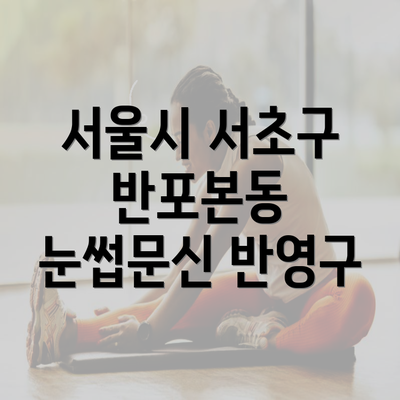 서울시 서초구 반포본동 눈썹문신 반영구