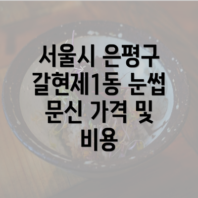 서울시 은평구 갈현제1동 눈썹 문신 가격 및 비용